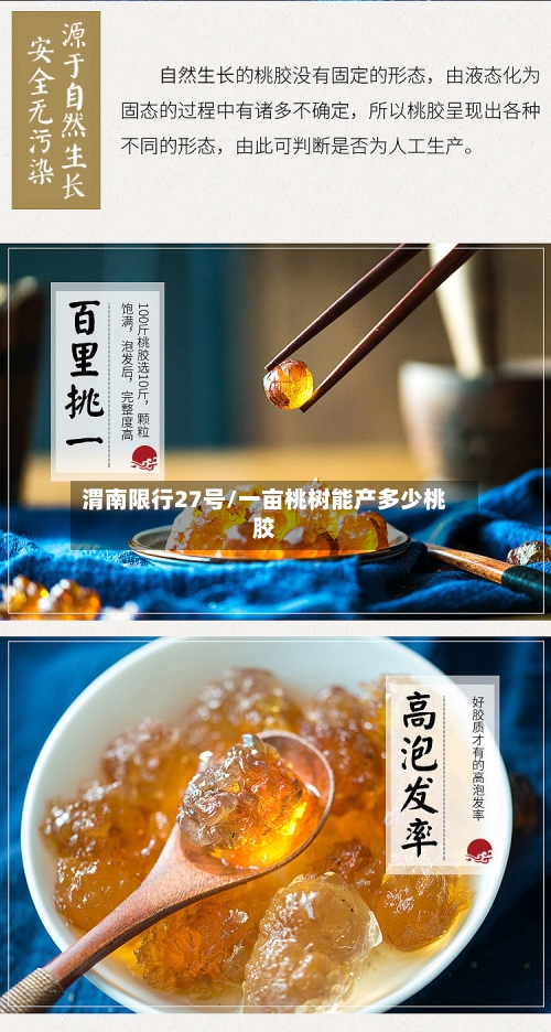 渭南限行27号/一亩桃树能产多少桃胶-第3张图片