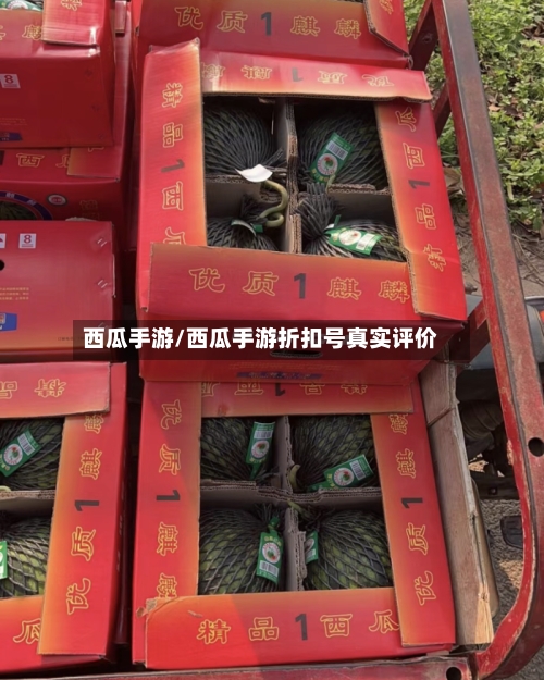 西瓜手游/西瓜手游折扣号真实评价