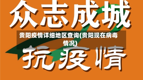 贵阳疫情详细地区查询(贵阳现在病毒情况)-第3张图片