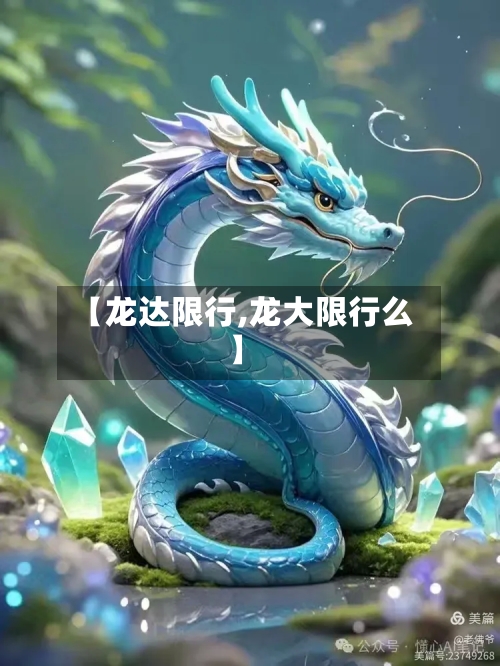 【龙达限行,龙大限行么】-第3张图片